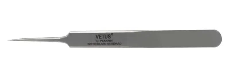 vetus 5 SA.webp